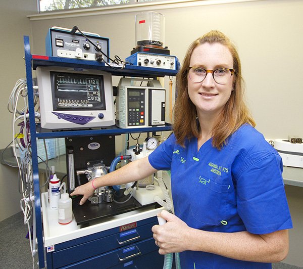 amanda-shelby An IndyVet Anesthesia team member in action.