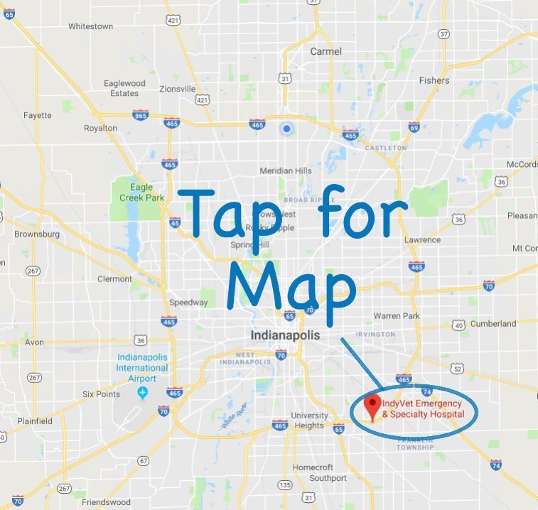 A map for directions to IndyVet.