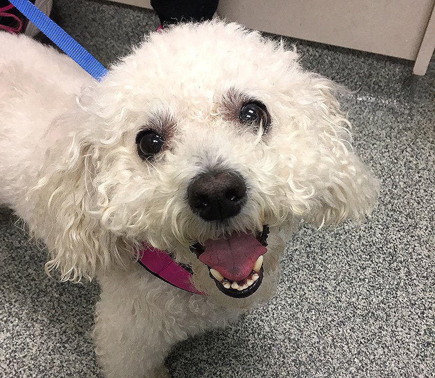 bea-after-cataract-surgery