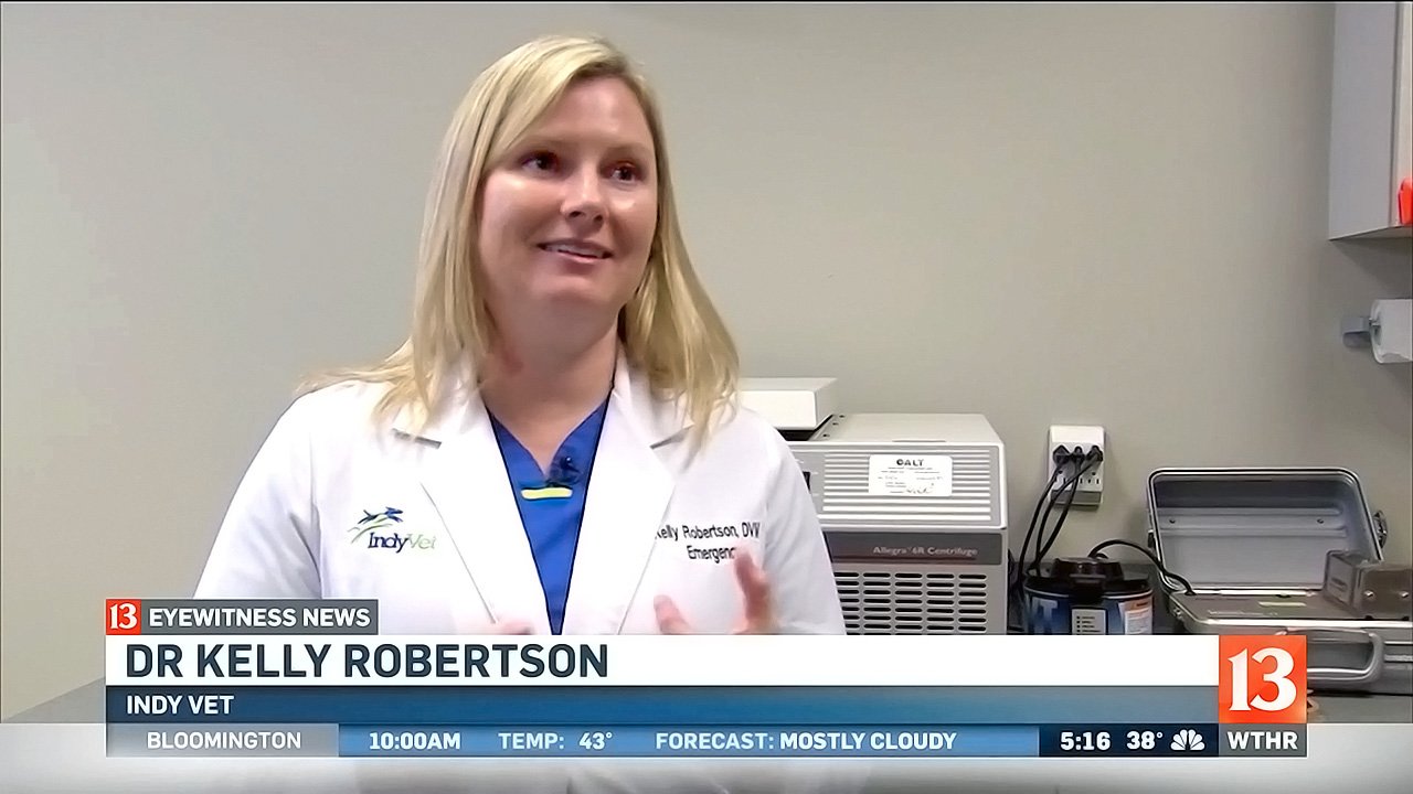 ch-13-dr-robertson