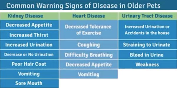 disease-grid