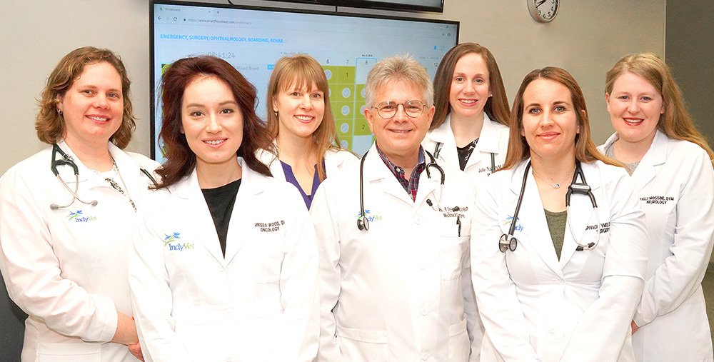 indyvet-specialists