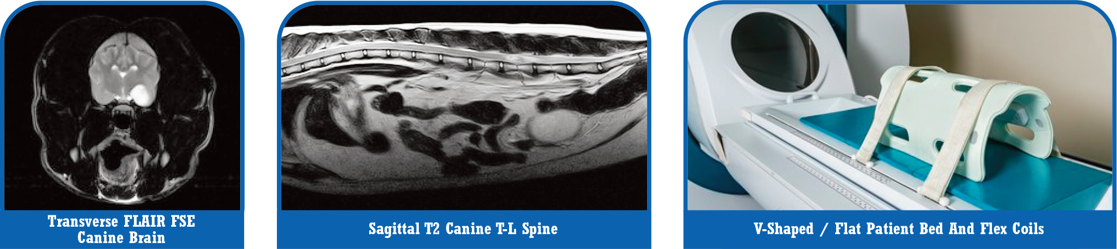 mri-images-and-options