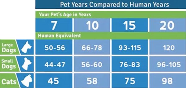 pet-age-grid