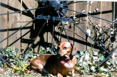 The Hunters and "Skeeter"
