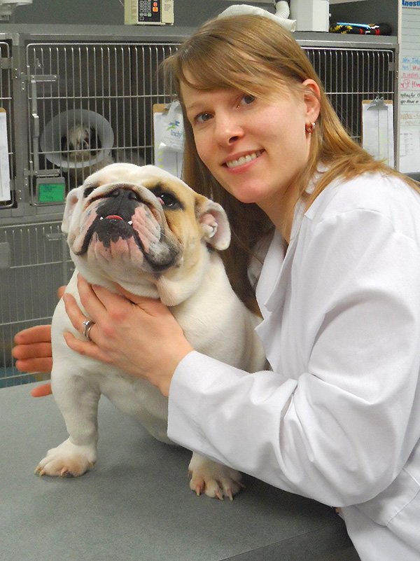 veterinarian-and-dog