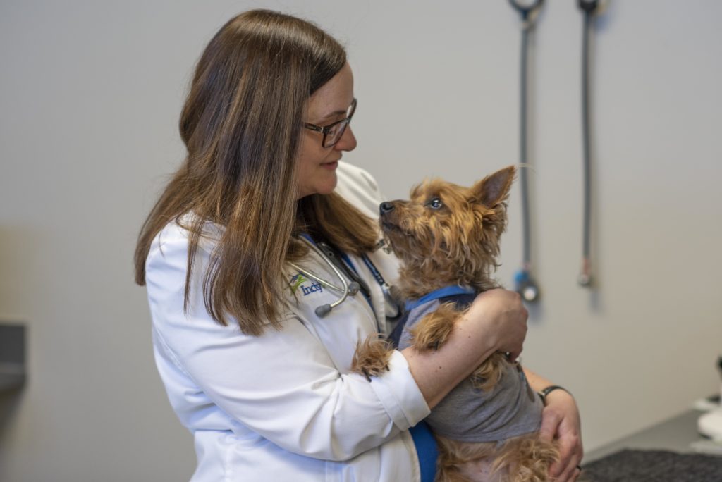 Woman Doctor Hold Small Dog in Arms