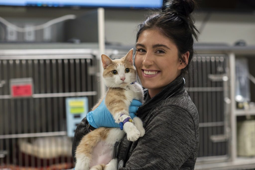 Vet tech smiling while holding a cat